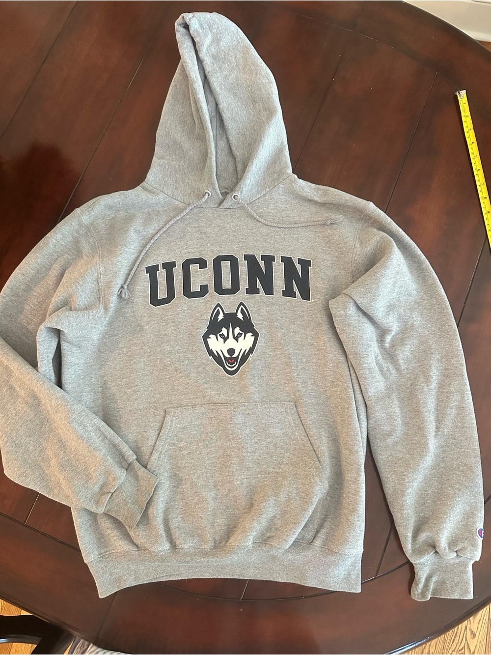 Champion UCONN Grey Hooded Sweatshirt with Husky Logo